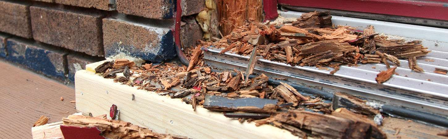 Schildersbedrijf Kurk en Stroek Vakschilders Houtrot reparatie hout rot houtrotreparatie